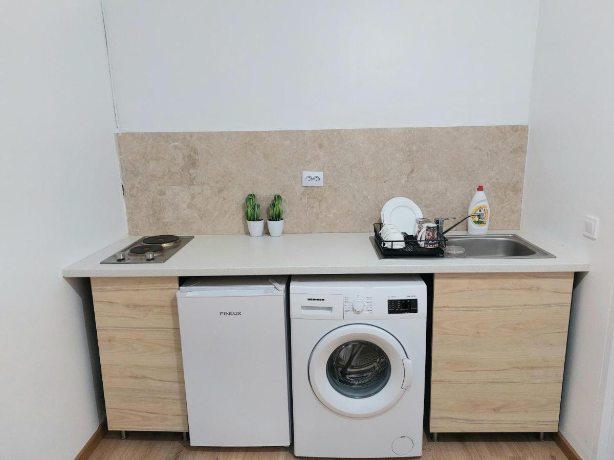 Piata Victoriei Arcul De Triumf Studio Apartment