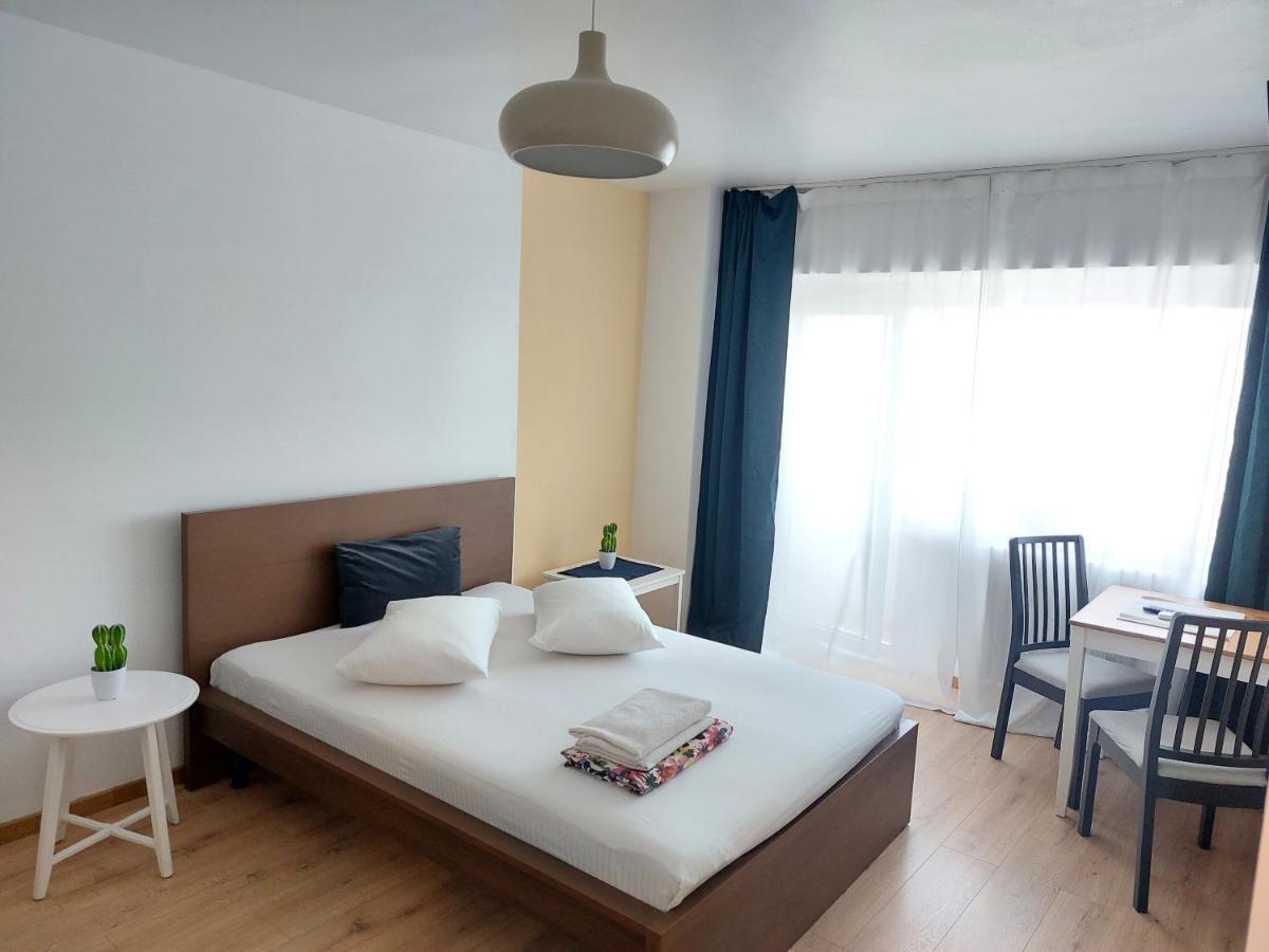 Piata Victoriei Arcul De Triumf Studio Apartment